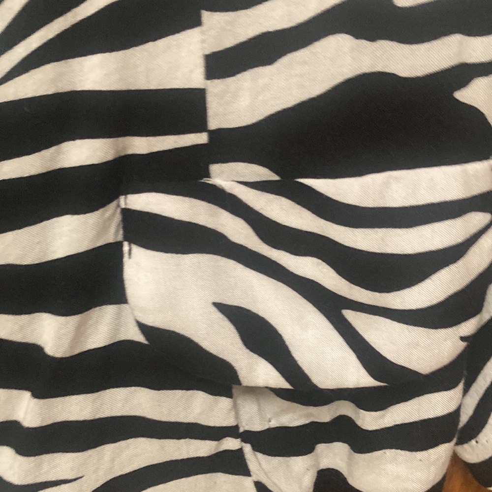 Lightweight Zebra Print Jacket - image 4